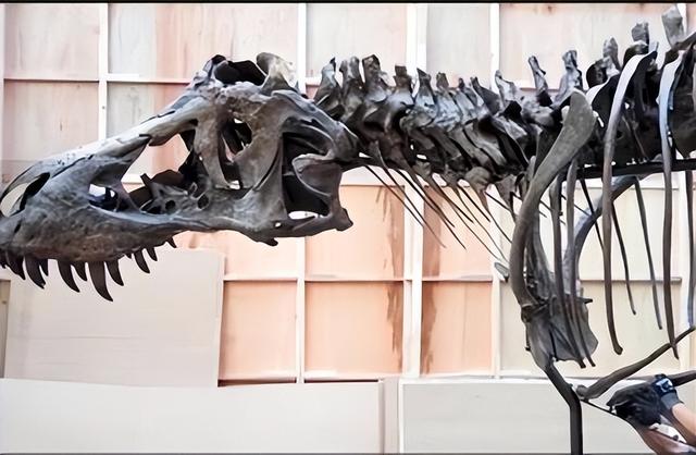 《侏罗纪世界》中“尚神”暴龙来新加坡拍卖，估值两亿长啥样？