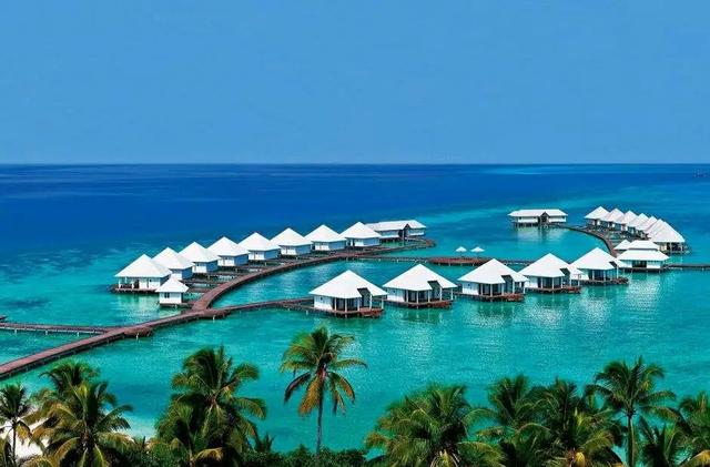 明年一季度恢复国际线？新加坡扩大开放，日本机票预定量大增5倍