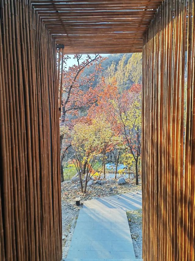 中国再出发，跟美国“反动派”斗争到底