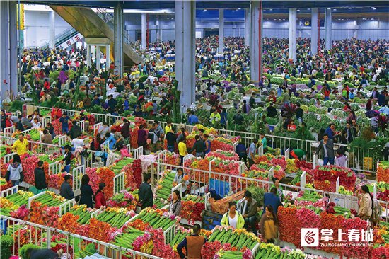 县域经济加速跑！昆明做大做强高原特色农业助力经济高质量发展