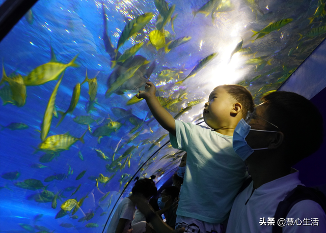 带宝宝参观缤纷多彩的北京太平洋海底世界