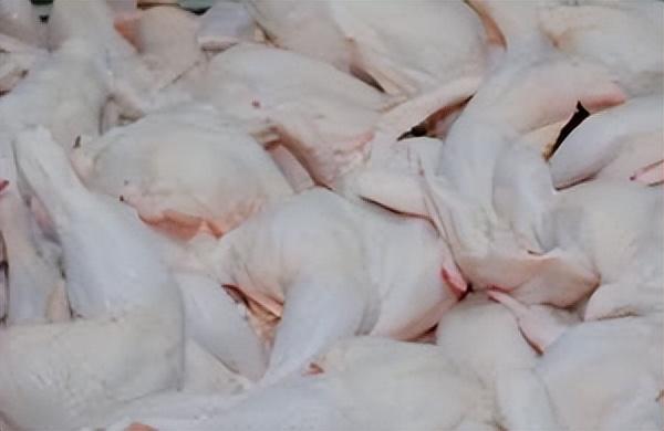 马来西亚向新加坡运了一批鸡，要价贵仍遭哄抢
