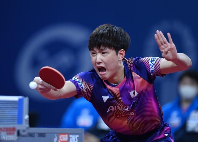 张本零封日本3比0巴西，挺进世乒赛八强，中国台北女团将战新加坡