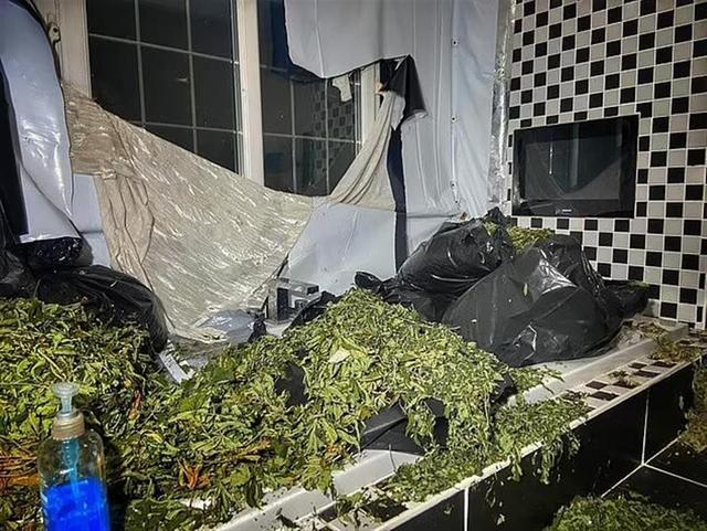 前英超球星豪宅被改造成大麻农场，本人或不知情