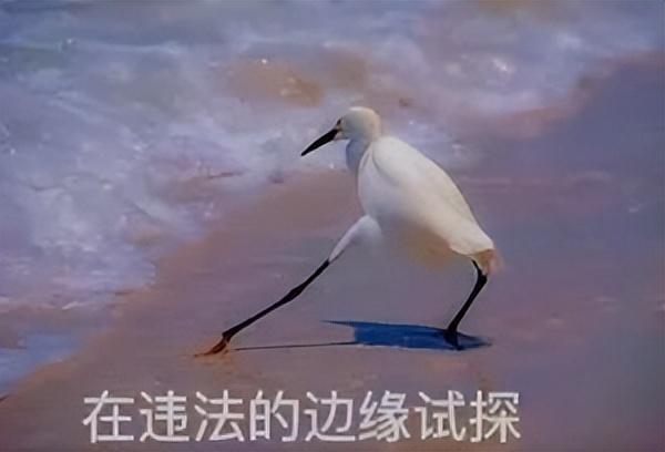 新加坡女子上街因穿太少被大妈当众怼骂，网友：羡慕吗？嫉妒吗？