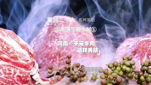 河南的宝藏乡村⑤ | 河南“千元牛肉”这样养成