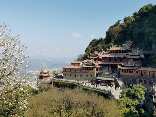 闽南人多奉一尊神，像城市多种一棵树