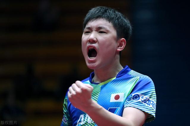 张本智和两分，日本男乒不败晋级16强，韩国女团第三须看对手脸色