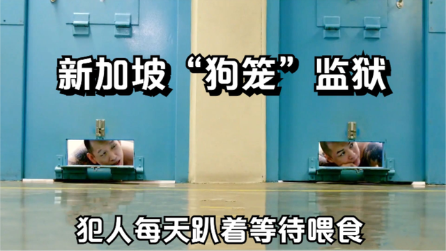新加坡狗笼监狱，犯人每天趴在地上待喂食，还会遭受鞭刑