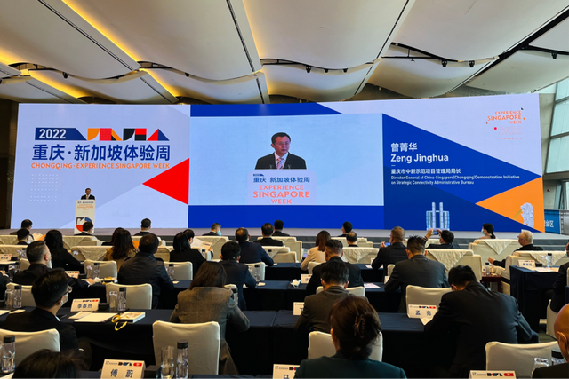 2022重庆·新加坡体验周开幕 狮城灯光秀将首次国外亮相