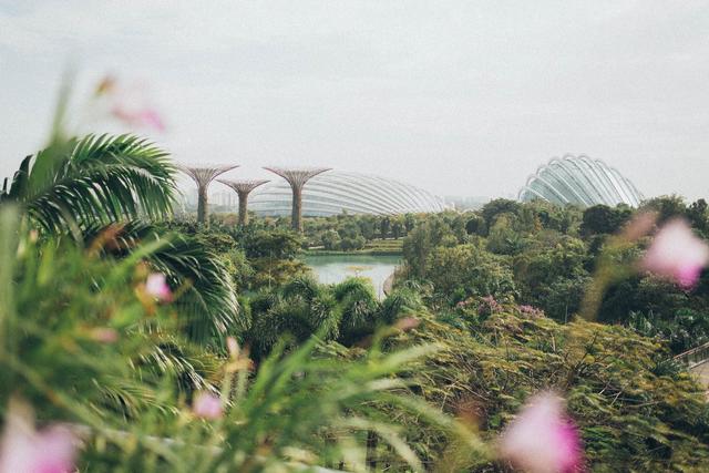 新加坡公司注册需要当地董事吗？