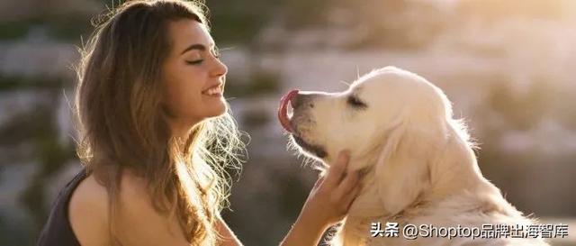 "萌宠经济"太火爆：这届年轻人，都想猫狗双全