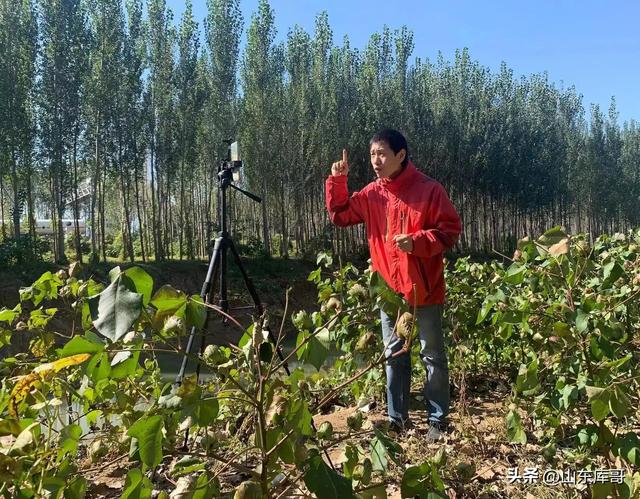 直播间照着读都能源源不断进人的万能开场话术，新人主播谁用谁火