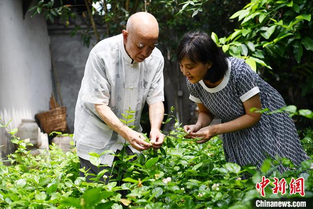 「寻味中华」碧潭飘雪：掌中盖碗啜新绿 花茶氤氲半城客