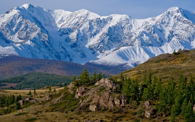 注册新加坡公司的条件是什么？有什么要求？