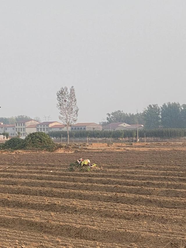 回国了，来看我爸爸
