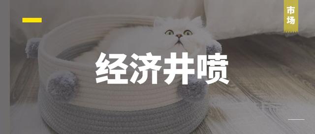 搜索量上涨88%！东南亚宠物市场蕴藏巨大商机