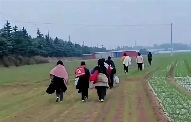 对中国制造业来说，富士康到底有多重要？