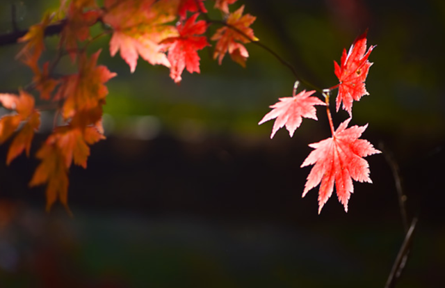 10月9日·上海要闻及抗击肺炎快报