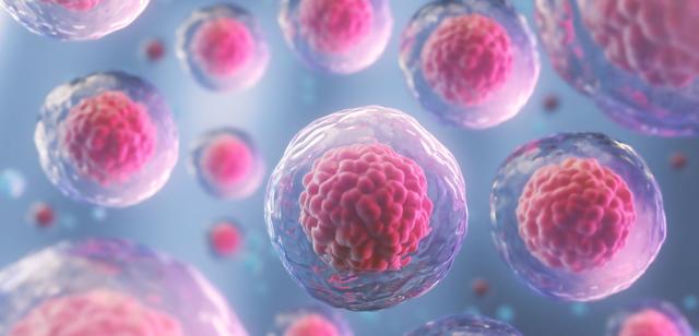 isei 日本干细胞：如何抵抗脸部老化 日本纤维芽细胞再生医疗