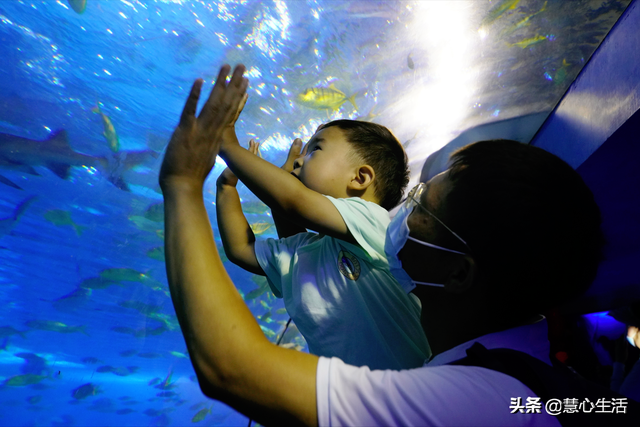 带宝宝参观缤纷多彩的北京太平洋海底世界