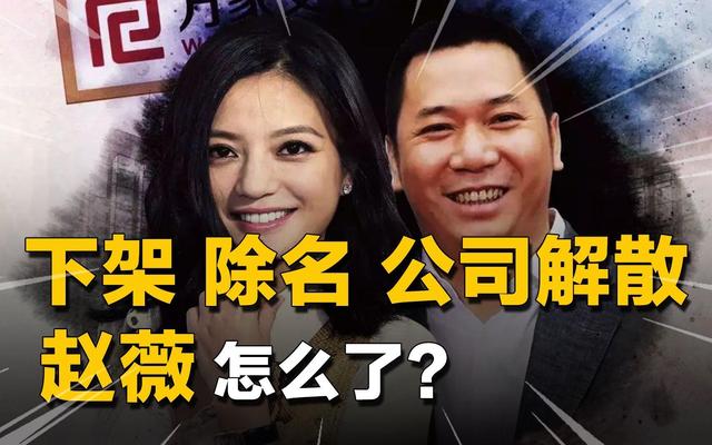 赵薇事件你不知道的那些事