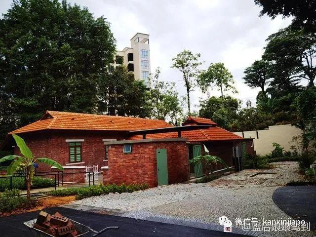 “嘘~一般人我不告诉他！新加坡这个地方不仅有隐藏美景，还有野生灵芝”
