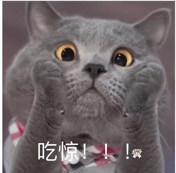 新加坡房东被“上课”：自己出租的小房子居然住了21人