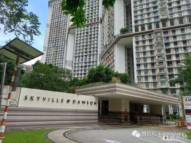新加坡城市徒步路线推荐，打卡网红组屋