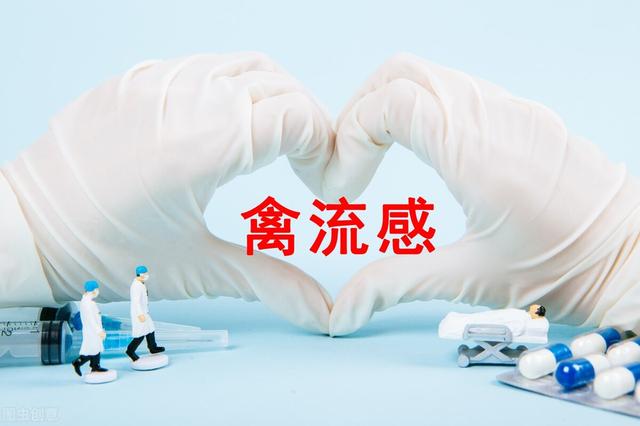 新加坡对美国禽流感疫情影响地区的禽类产品实施临时进口限制