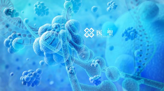 isei 日本干细胞：不健康的饮食习惯使糖尿病的风险增加30%