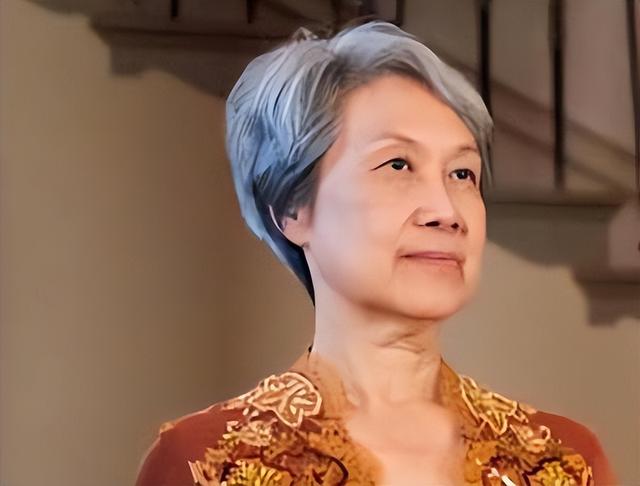 新加坡总理夫人何晶又上热搜，只因：2亿美元投资归零，亏得起