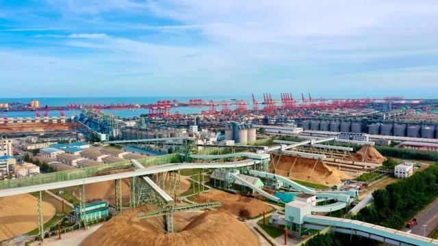 “山东第一外企”养成记