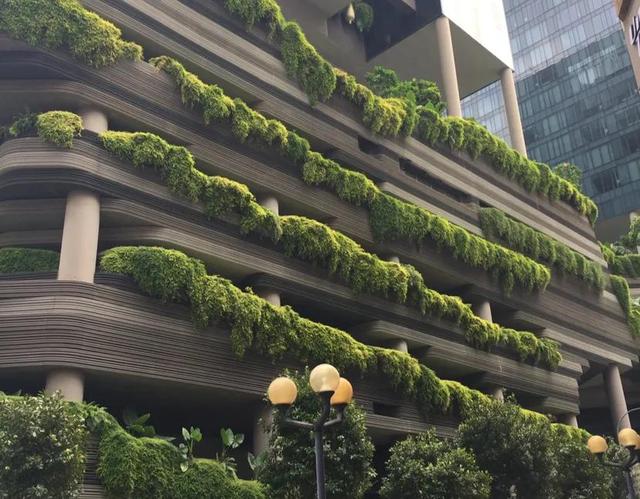 浅谈新加坡人大多数为什么不在家自己做饭吃？