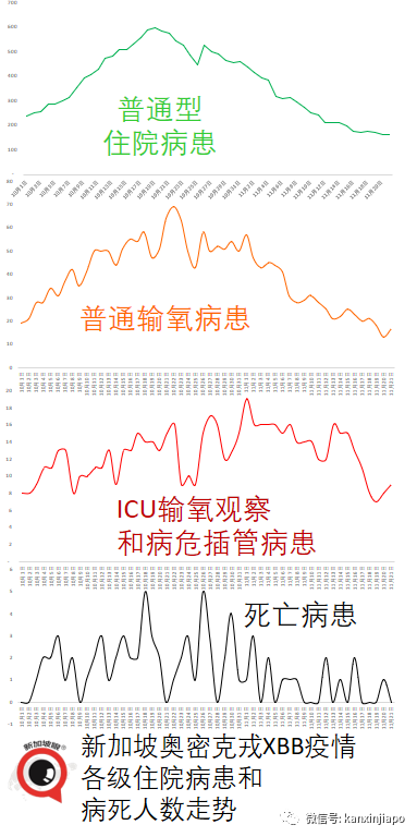 新加坡的新冠康复者，是否需要接种最新疫苗？有哪些禁忌和讲究