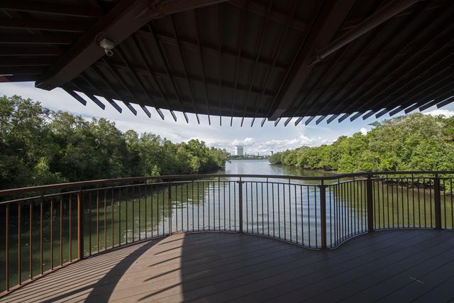 （国际）湿地之美丨新加坡双溪布洛湿地