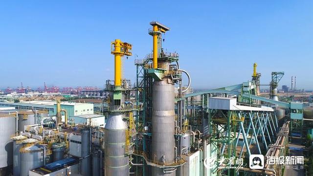 深耕日照二十年 一家浆纸外企的与城共荣路