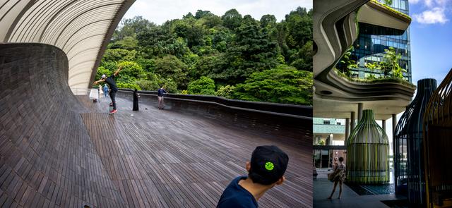 城市与自然和谐之道：垂直花园新加坡