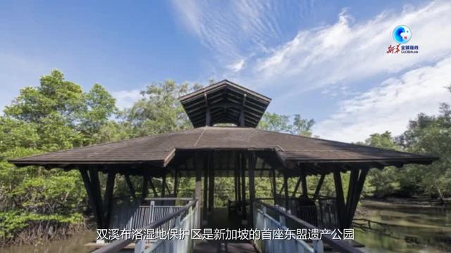 湿地之美·新加坡双溪布洛湿地