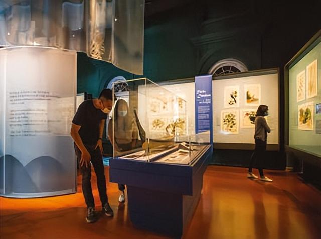新加坡国家博物馆：让历史活起来