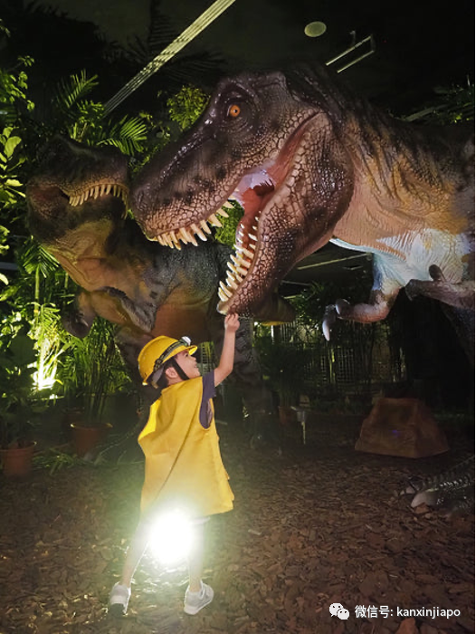 假期溜娃好去处！新加坡最大室内恐龙探险乐园在义顺开业