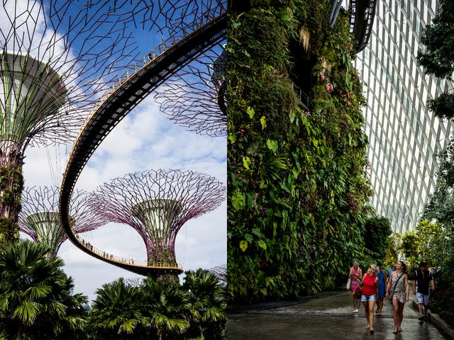 城市与自然和谐之道：垂直花园新加坡