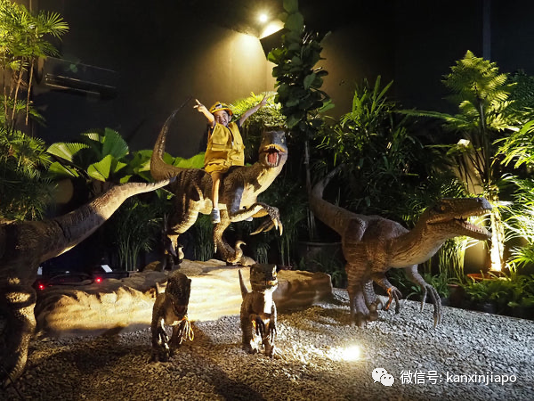 假期溜娃好去处！新加坡最大室内恐龙探险乐园在义顺开业