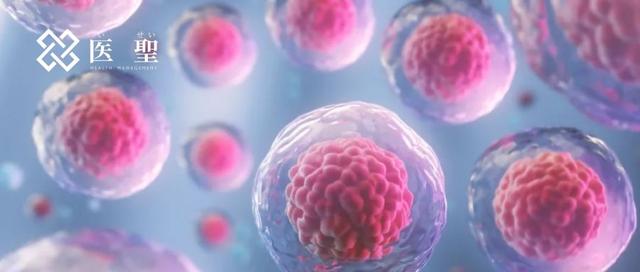 isei 日本干细胞：哪些细胞对衰老的原因有重大影响？