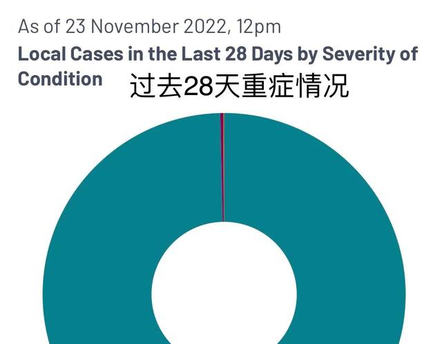 新冠重症率有多少？看新加坡最新公布的疫情报告