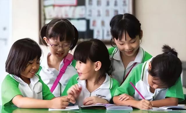 小学留学新加坡 “选择私立学校的理由，竟然是政府学校没资格”