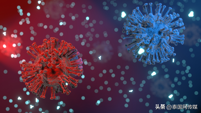 泰国发现9例BQ.1变异株、13例XBB毒株