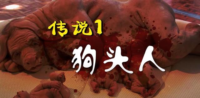 新加坡都市传说-狗头人