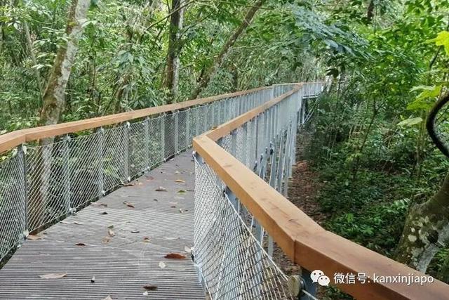 徒步爱好者喜讯！新加坡八大自然保护区大揭秘