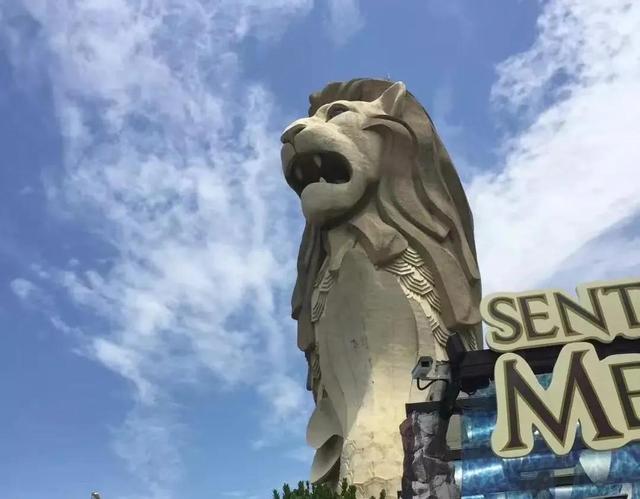 新加坡留学经历